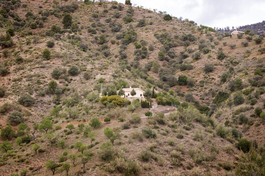 Rural Montes Malaga: Finca Pedregales Zimmer foto